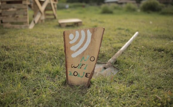 Drewniana tabliczka z napisem No wifi zone wbita w ziemię